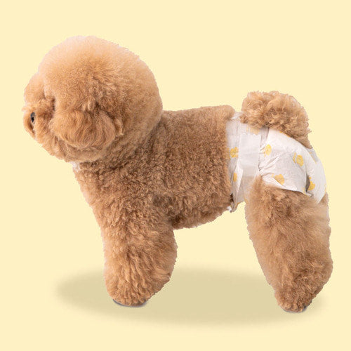 Bosom Dog Diapers - Female (XS ~ L)