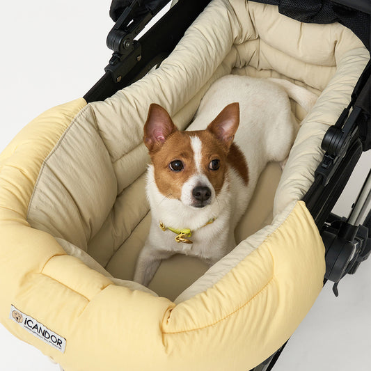 Urban All-in-one Cushion