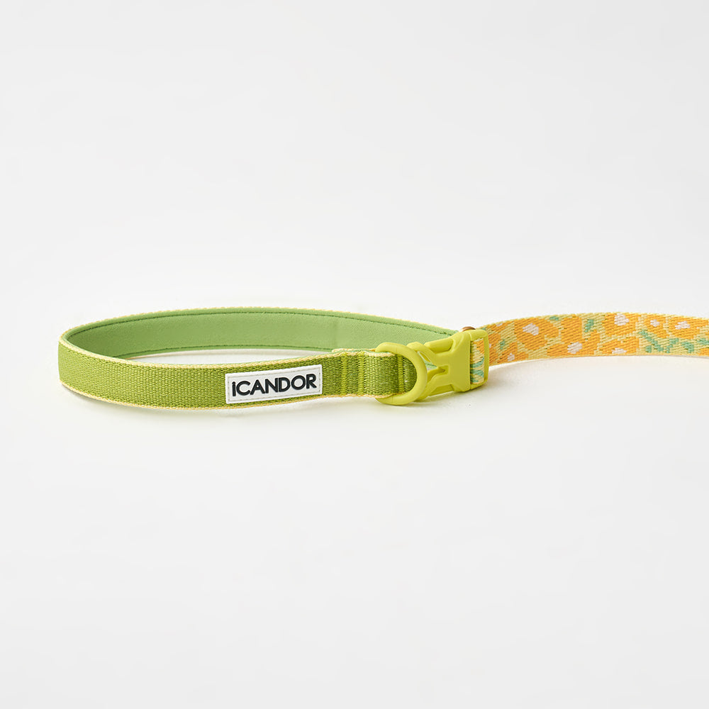 Gentle Leash Bolt, Long (Big Fish Yellow)