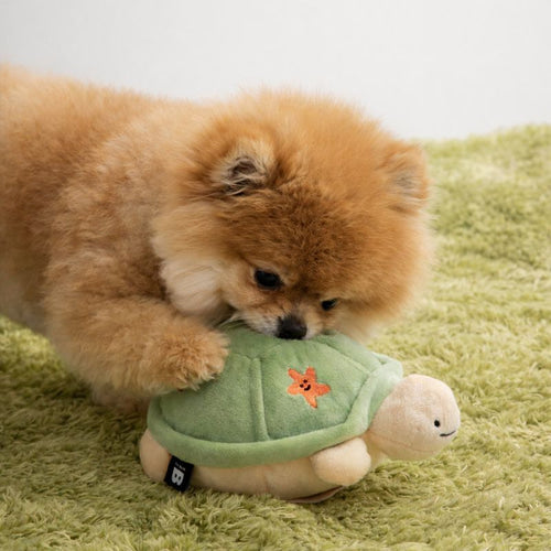 Jumping Boogie Auto-Ball Toy Preorder