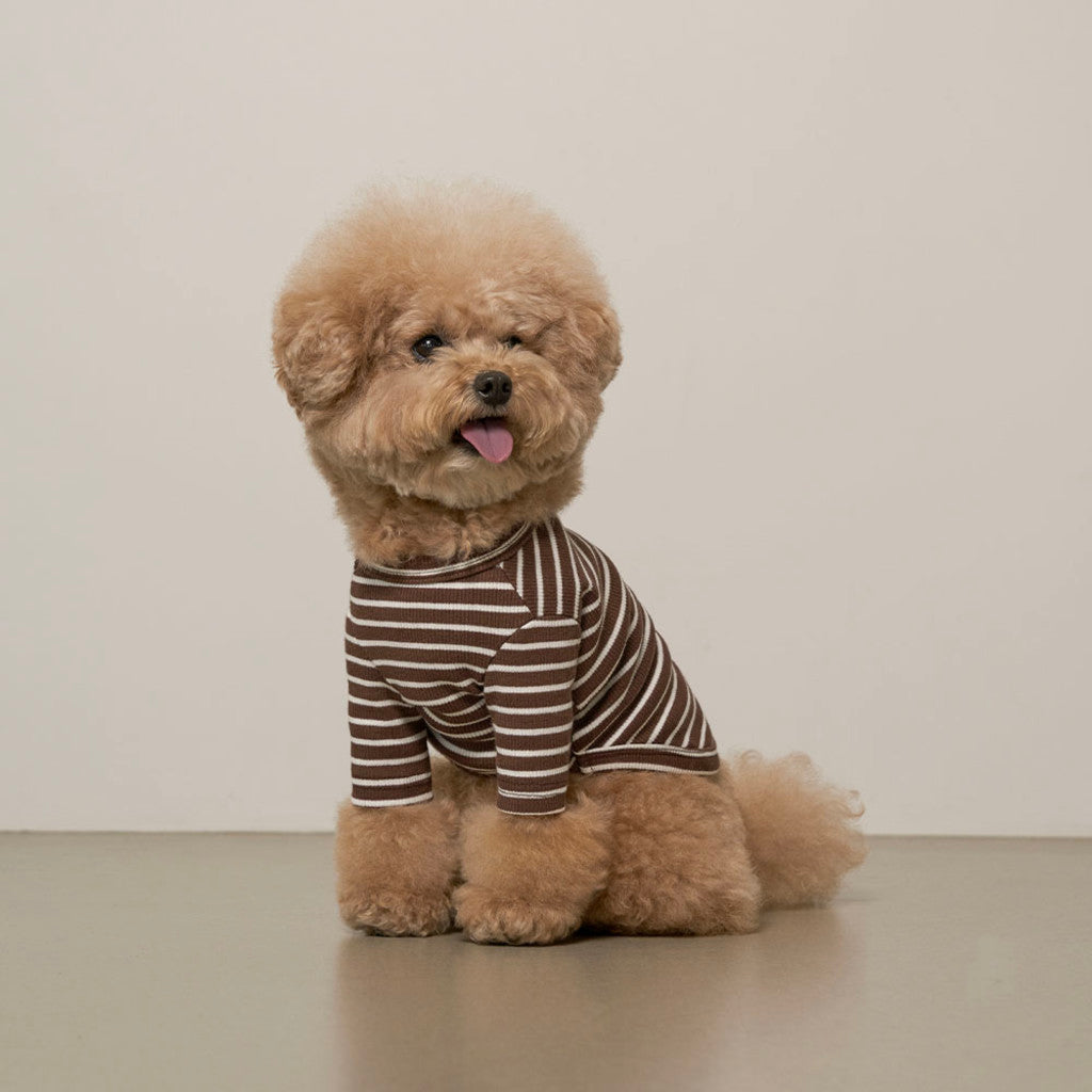 Striped T-Shirt (Brown) Preorder