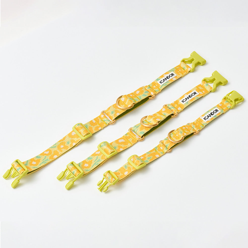 Martingale Collar Buckle (Big Fish Yellow)