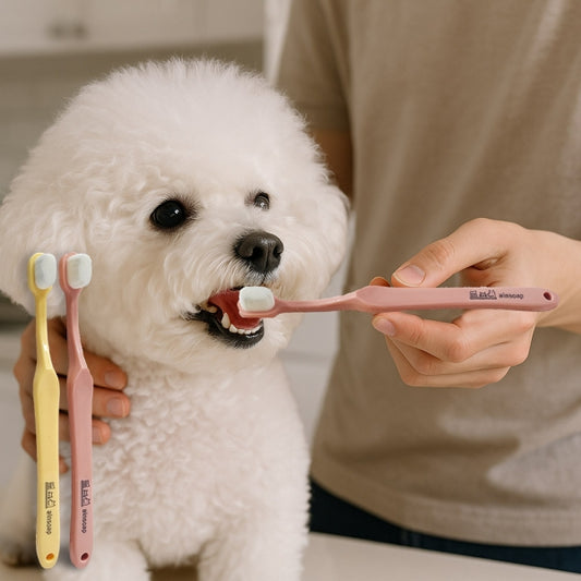 Micro Soft Toothbrush (2 colors)