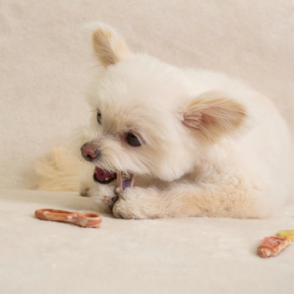 Baby Brush Dental Chew Red & Green Fruits