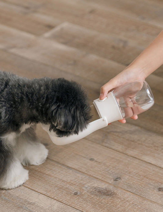 Portable Return Water Bottle (2 colors)