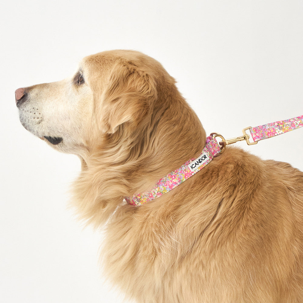Gentle Collar Dual (Flora)