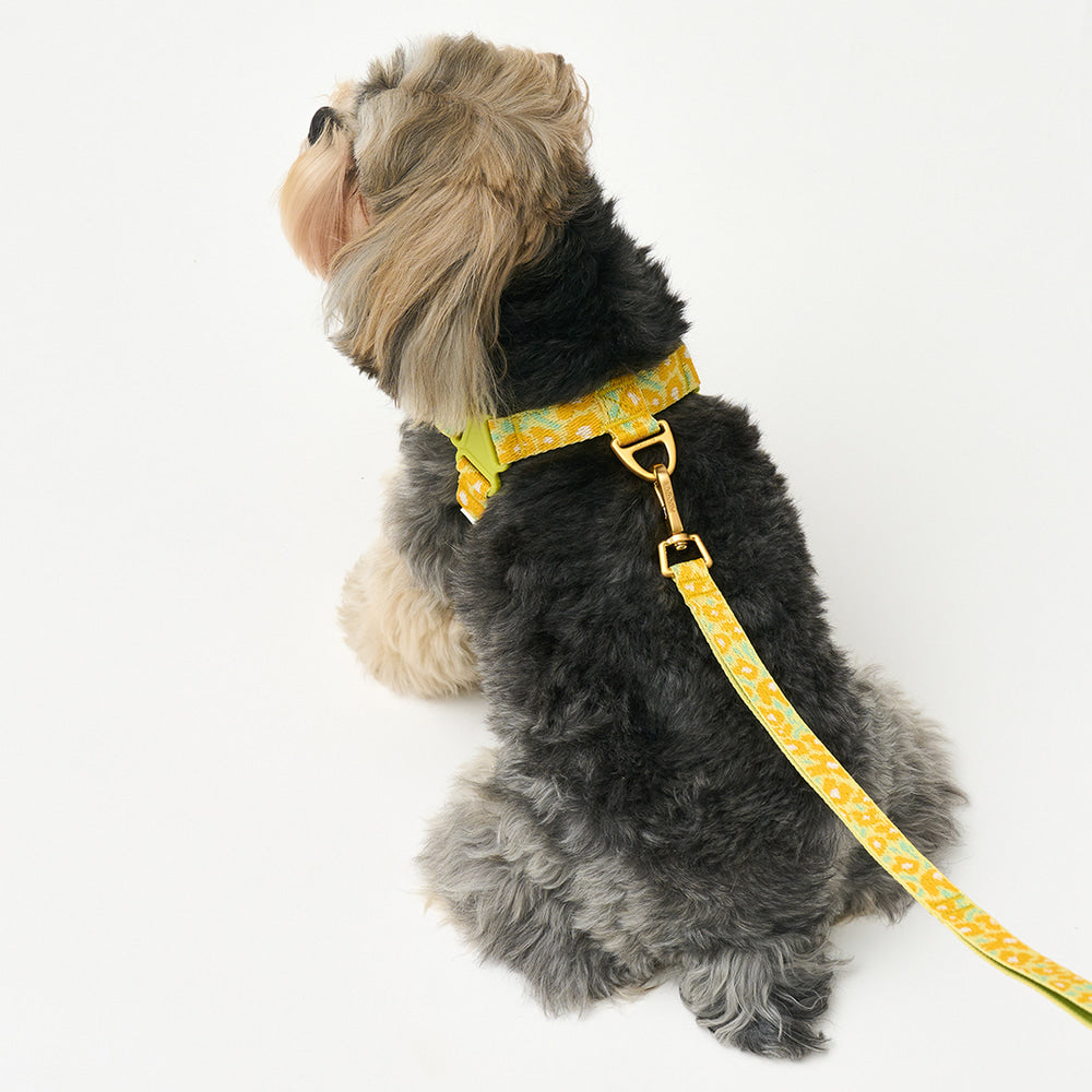 No-Pull Harness (Big Fish Yellow)