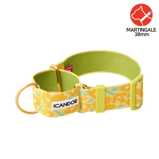 Smooth Martingale Collar 38mm (Big Fish Yellow)