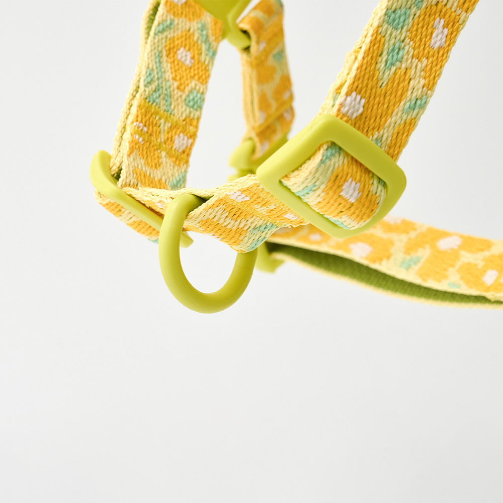 No-Pull Harness (Big Fish Yellow)