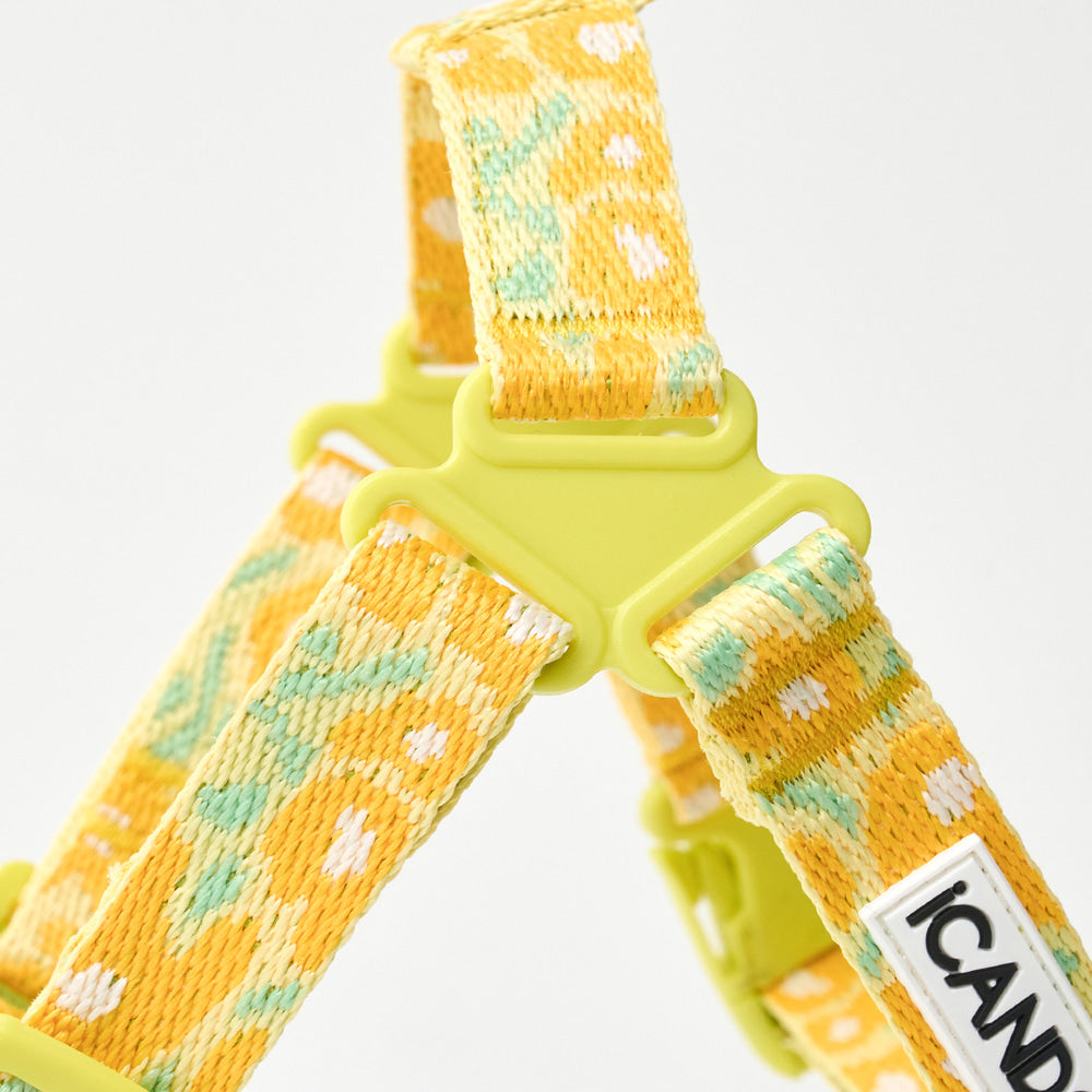 No-Pull Harness (Big Fish Yellow)