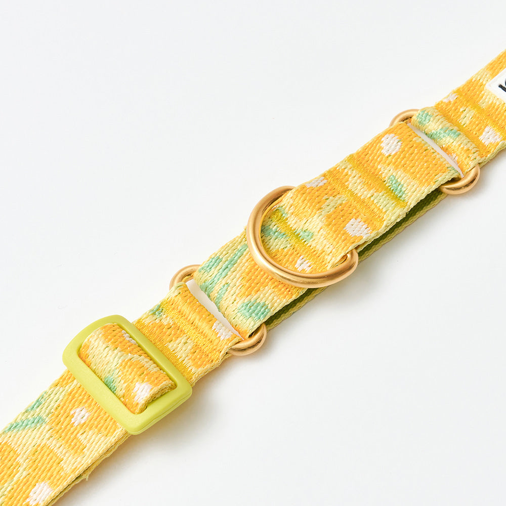 Martingale Collar Buckle (Big Fish Yellow)