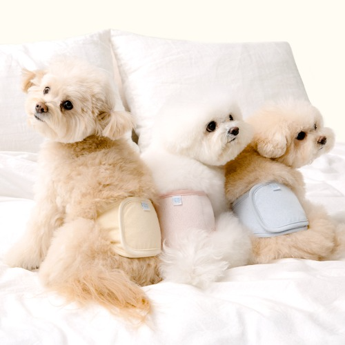 Soft Hug Manner Belt (3colors) Preorder