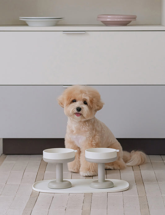 Tasteel Metal Stand & Silicone Bowl (2 Colors) Preorder