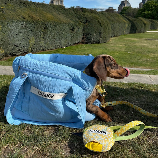Cloud 9 Pet Carrier (Airy Blue)