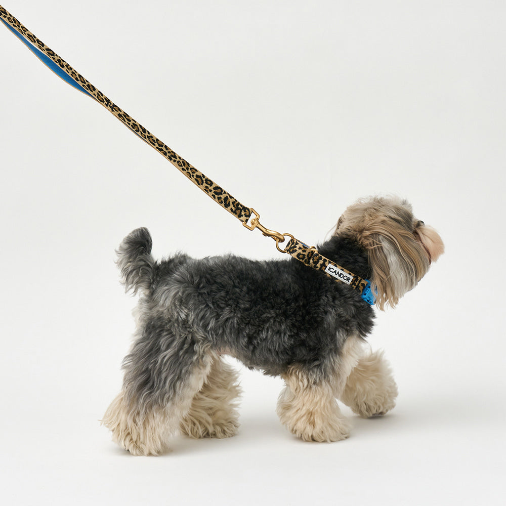 Martingale Collar Buckle (Leopard)