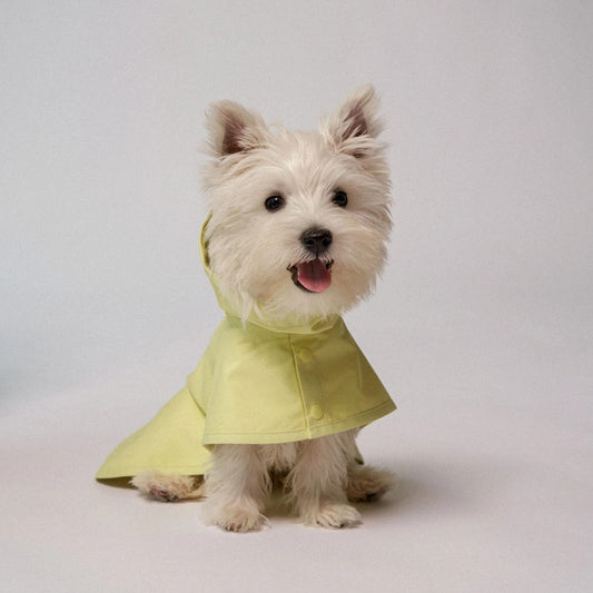 City Walk Rain Poncho Lemon