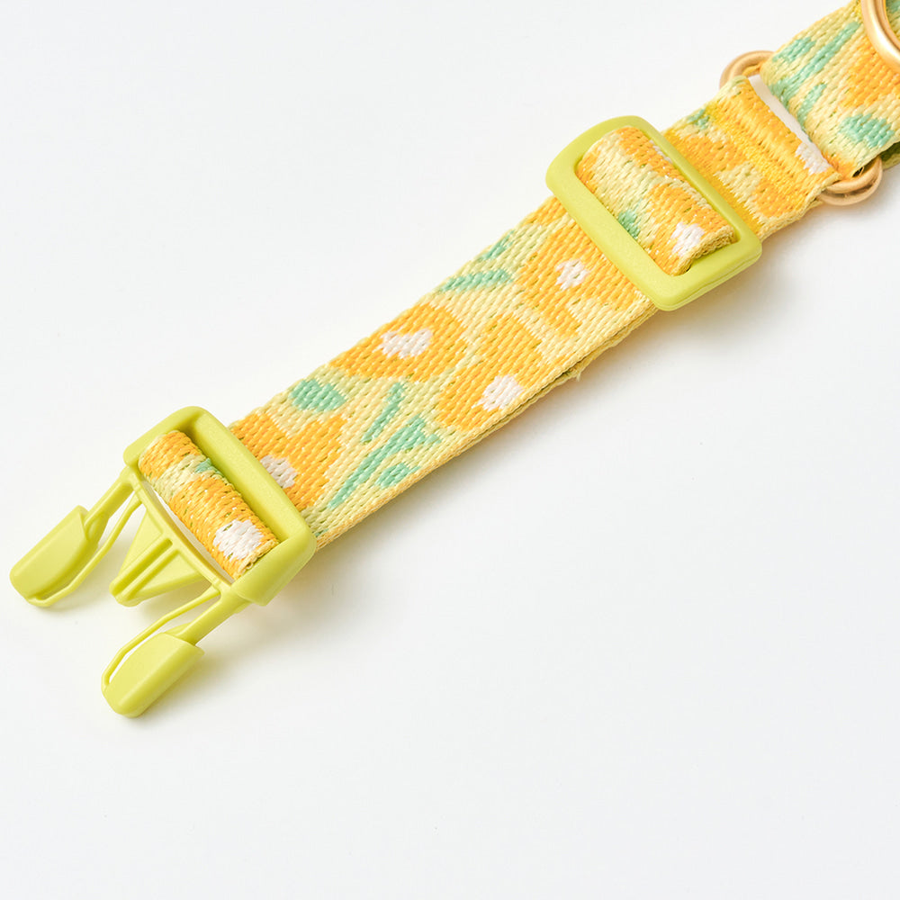 Martingale Collar Buckle (Big Fish Yellow)