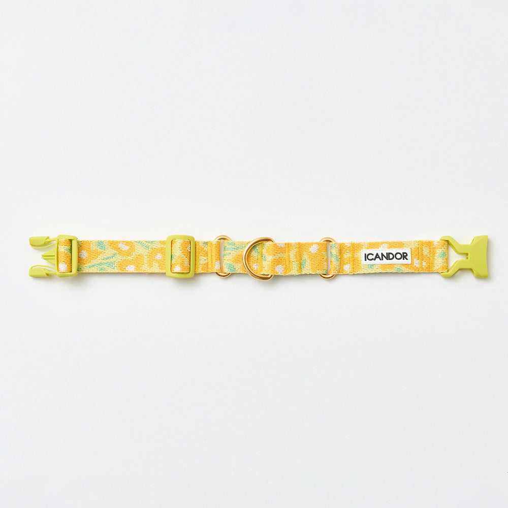 Martingale Collar Buckle (Big Fish Yellow)