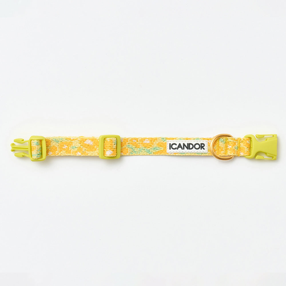 Gentle Collar XS 15mm (Big Fish Yellow)