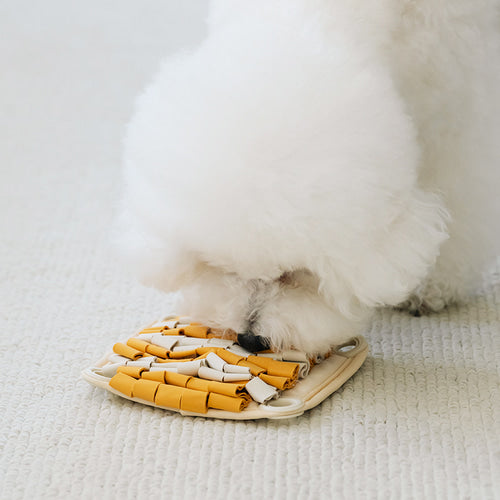 Spin and Snack Squirrel Toy