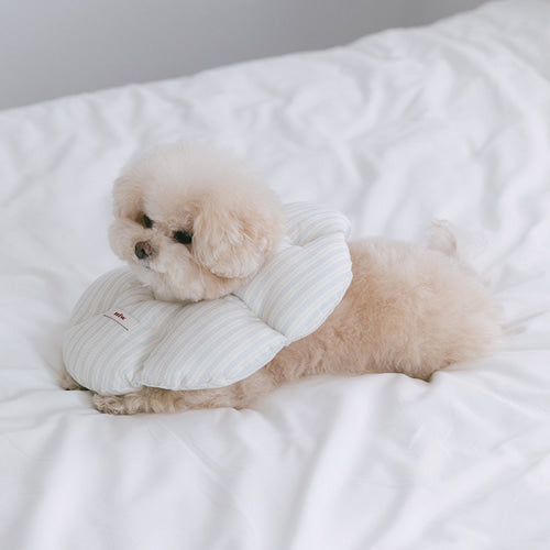 Cloud Neck Collar (4 sizes) Preorder
