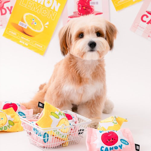 Crunchy Candy Ball Toy (Lemon & Cherry)