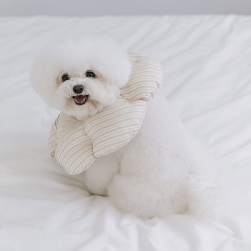Cloud Neck Collar (4 sizes) Preorder