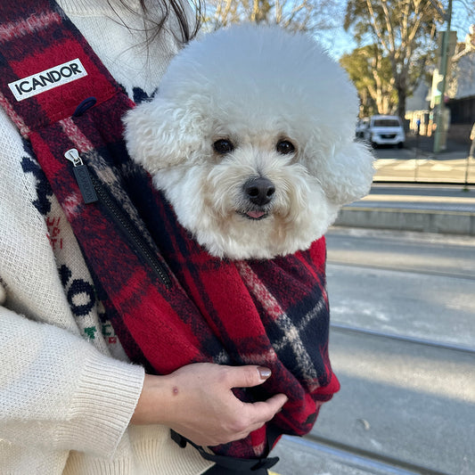 Dumpling Sling Bag (Edinburgh Check)