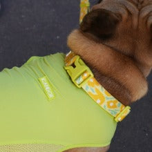 Ocean Cooling Vest (Minty Lime)