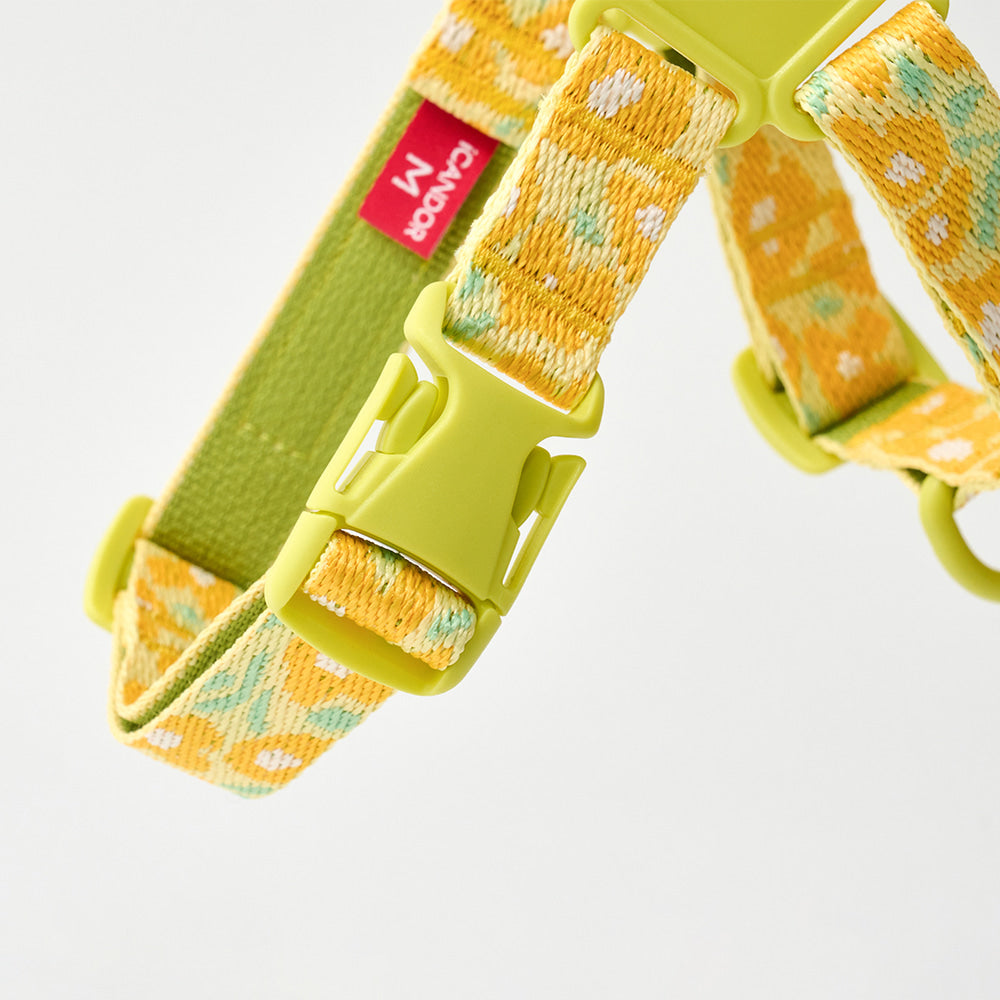 No-Pull Harness (Big Fish Yellow)