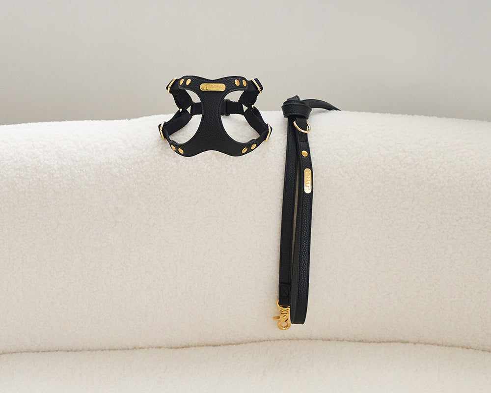 Delight 1.5M Leash (4 colors) preorder