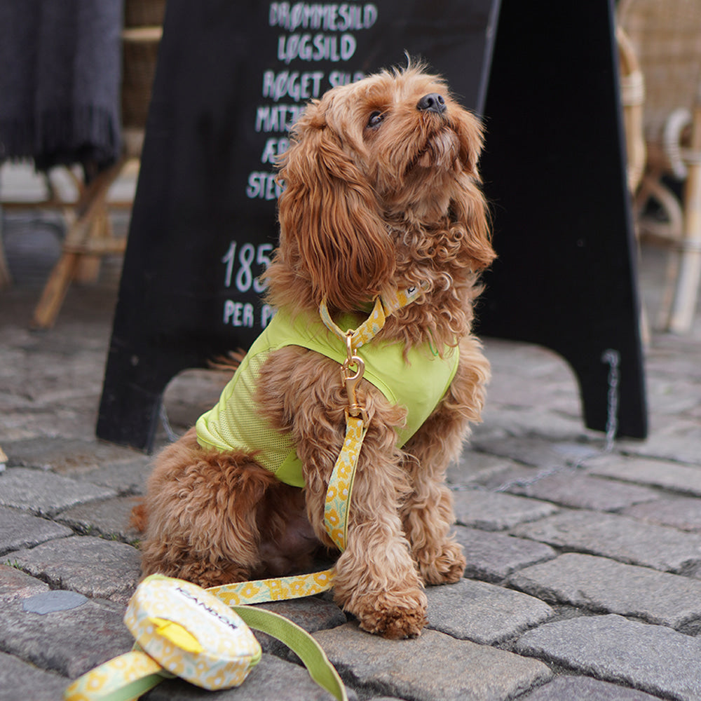 Ocean Cooling Vest (Minty Lime)