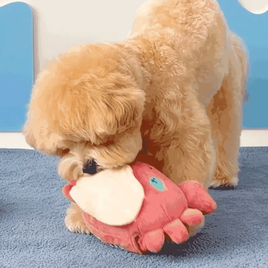 Jumping Crab Nosework Toy (Cover only)