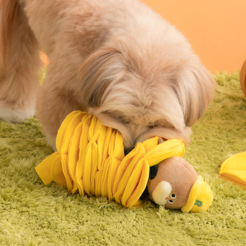 Poki Pocket Nosework Toy (2 types)