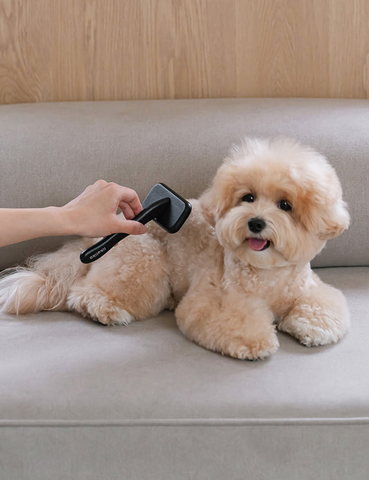 Sensible Slickers (3 sizes)