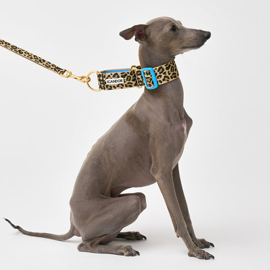 Smooth Martingale Collar 38mm (Leopard)