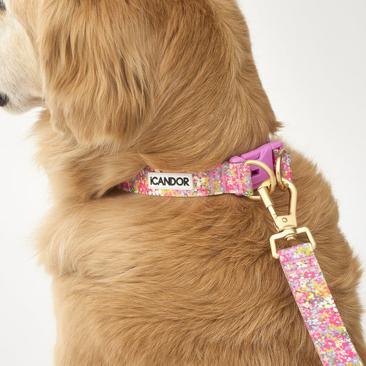 Gentle Collar Dual (Flora)