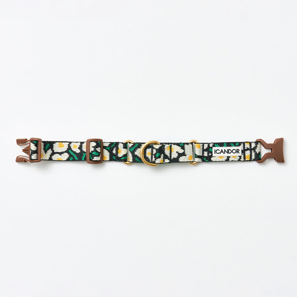 Martingale Collar Buckle (Big Fish)