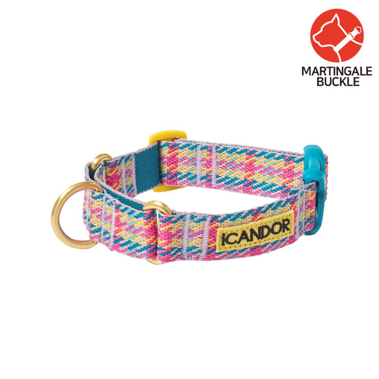 Martingale Collar Buckle (Edinburgh Check) Preorder