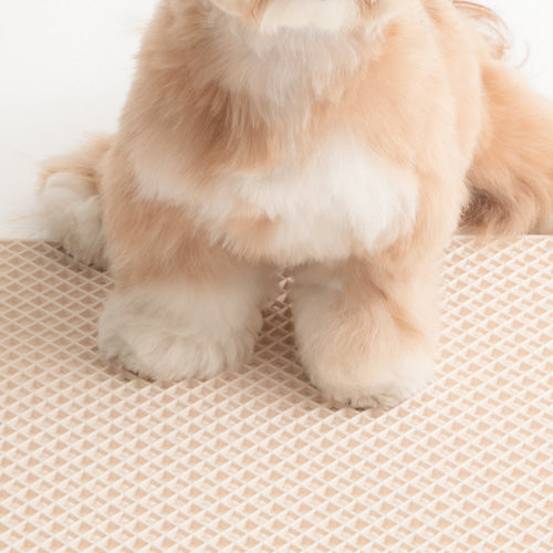 Zero Guard Silicone Mat (2 colors)