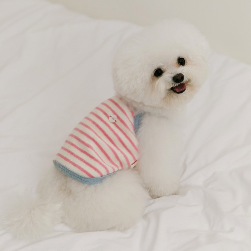 Gelato Terry Top (4 colors) Preorder