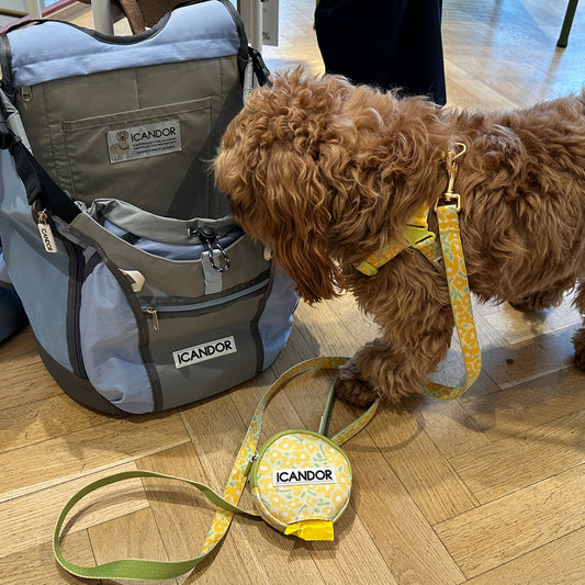 Dingle Dangle Poop Bag Pouch (Big Fish Yellow)