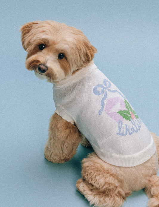 Moment Knit (2 colors) preorder