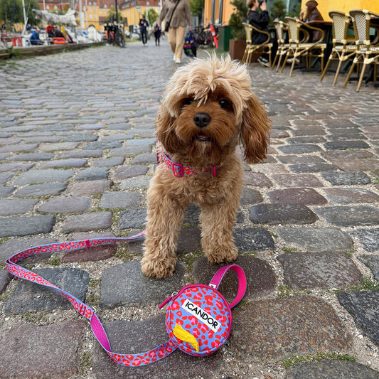 Gentle Leash Bolt, Long (Leopard Lavender Blue)