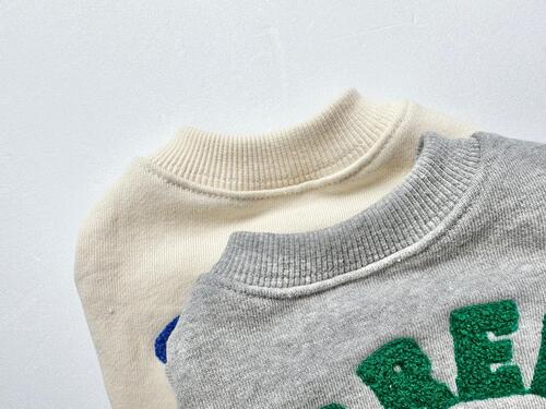 Crew Sweatshirt (2 colors)