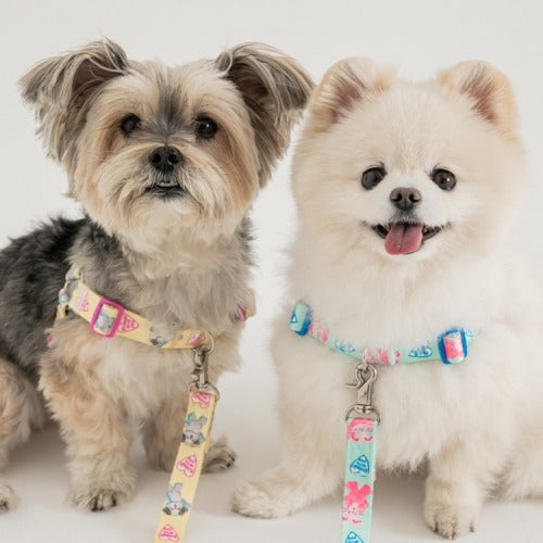 Pokori Friends Adventure Easy L-Harness (3 colors)