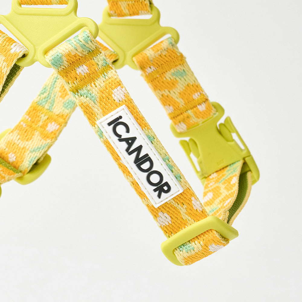 No-Pull Harness (Big Fish Yellow)