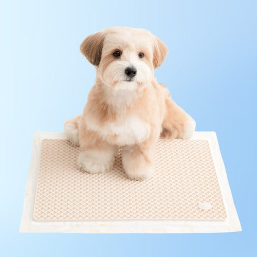 Zero Guard Silicone Mat (2 colors)