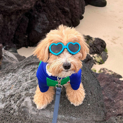 CBF Lovey Dovey Hear Goggles (5 colors)