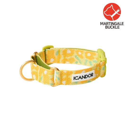 Martingale Collar Buckle (Big Fish Yellow)